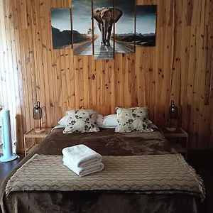 Tenerife Dreams Coffee&bed Hostel Santa Cruz de Tenerife